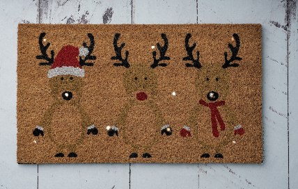 Product: LED Light Up Coir Doormats