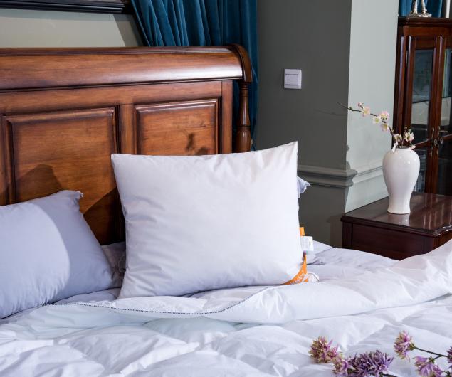 Product: ComfortAce Pillows