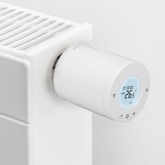 Product: TRV TL10