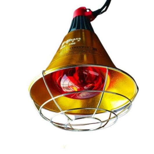 Product: IR Heater lamps for Poultry/Livestock