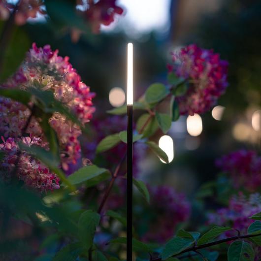 Product: BREEZE