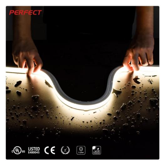 Product: Flex Neon Light