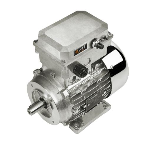 Product: Alfavert - Motor with integrated Inverter