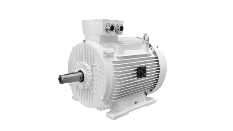 Product: IE5 3 Phase Cast Iron Motor