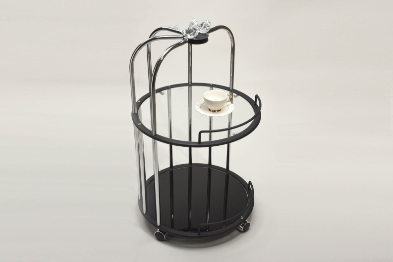 2 tier bird cage