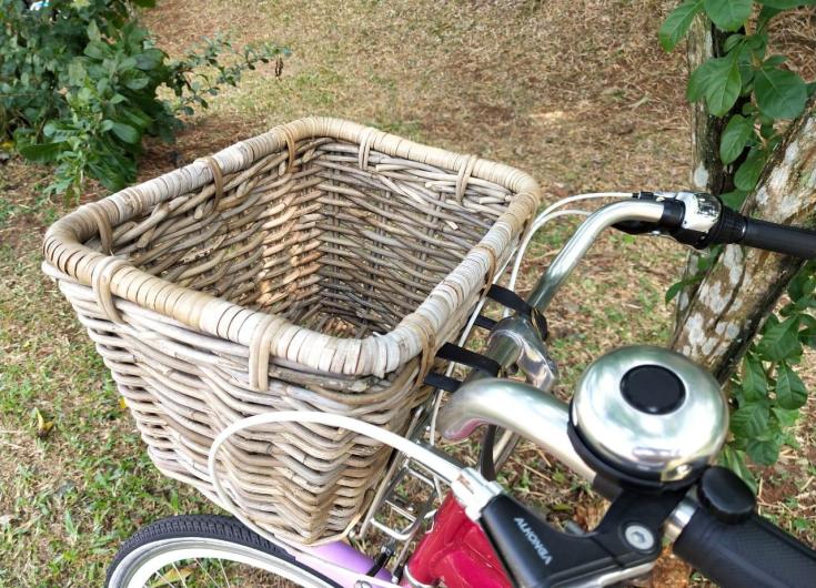 bicycle rattan basket