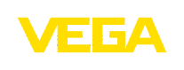 Aussteller: VEGA Grieshaber KG