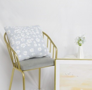Cushion