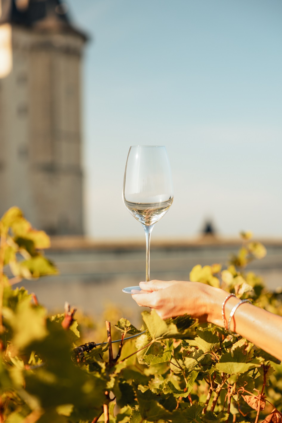 Stolzle Lausitz Fino, Wine glasses on