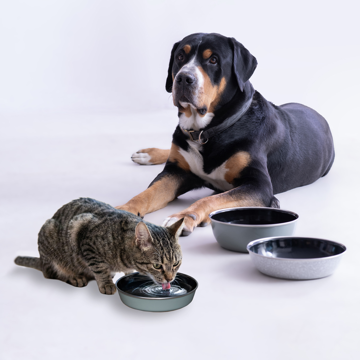 RIESS cat & dog bowls