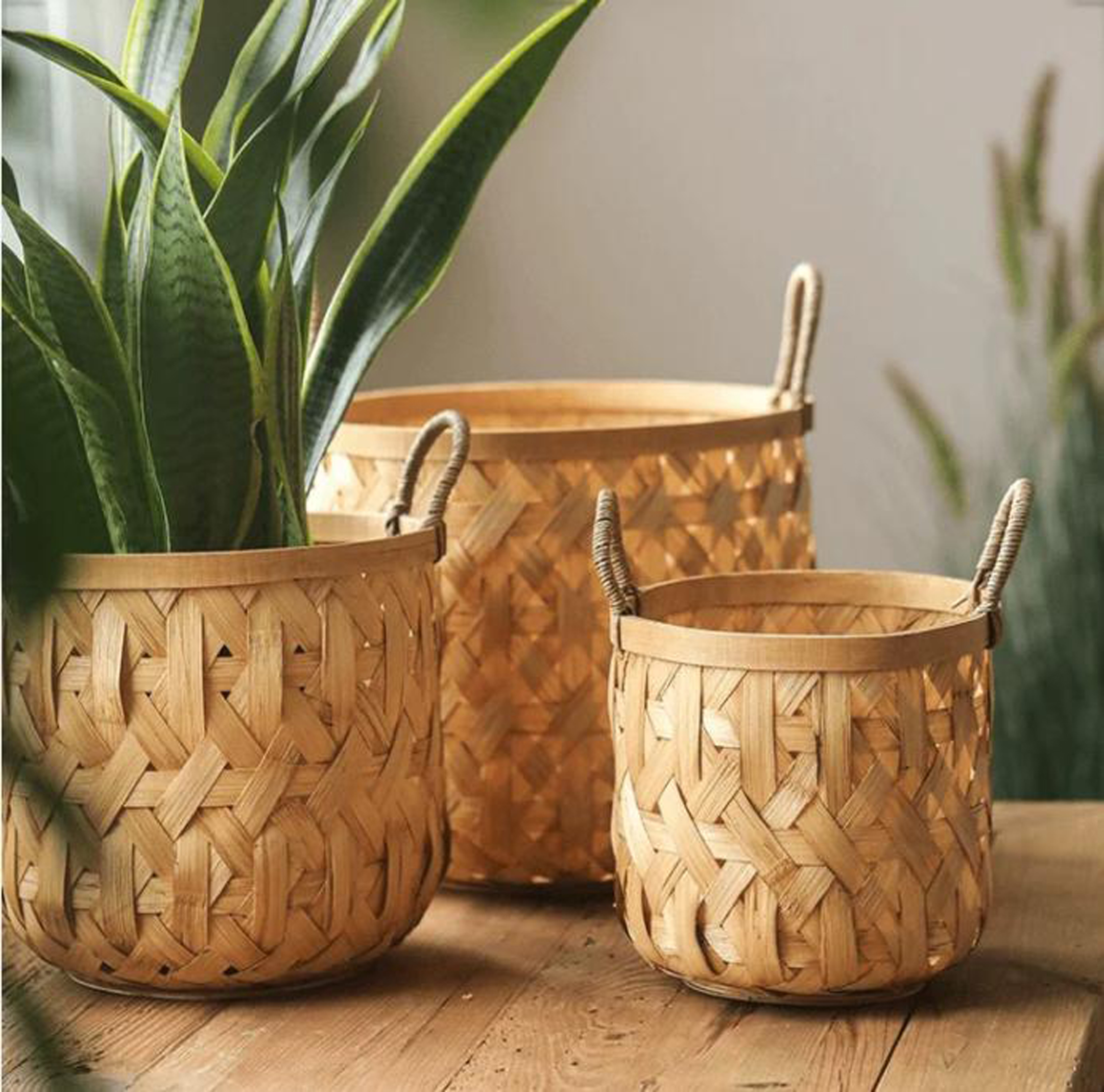 Bamboo Basket