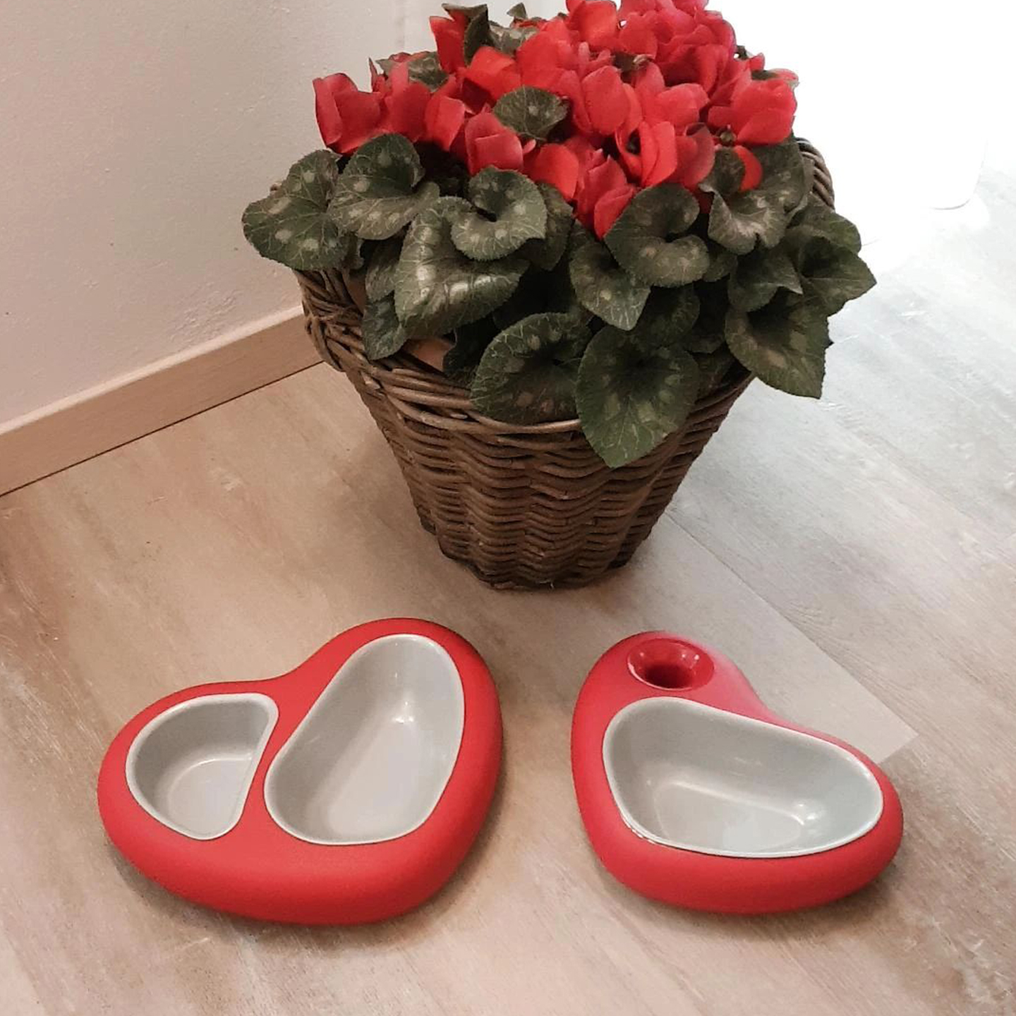 Pet Plastic Bowls – Variety, Functionality and Italian Design