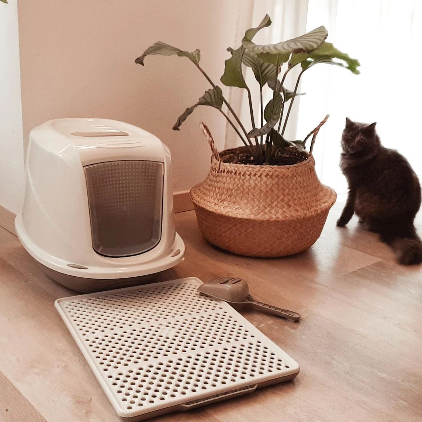 Pet Litter Trays and Toilets – Comfort, Hygiene and Design for Every Pet