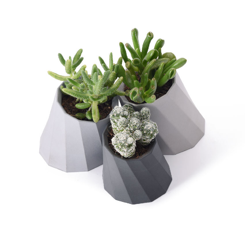 Volcano Holder