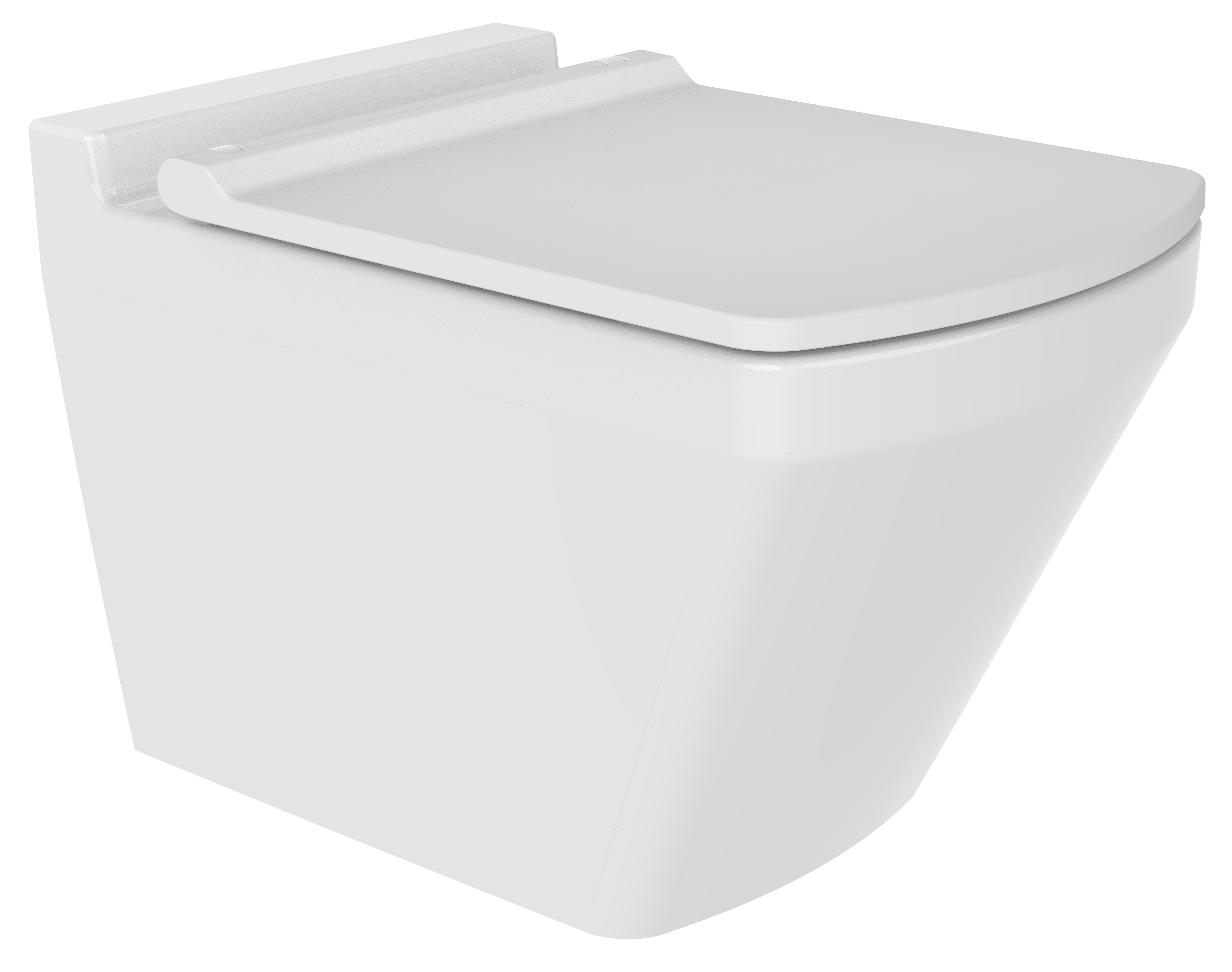 Neptün wall-hang toilet