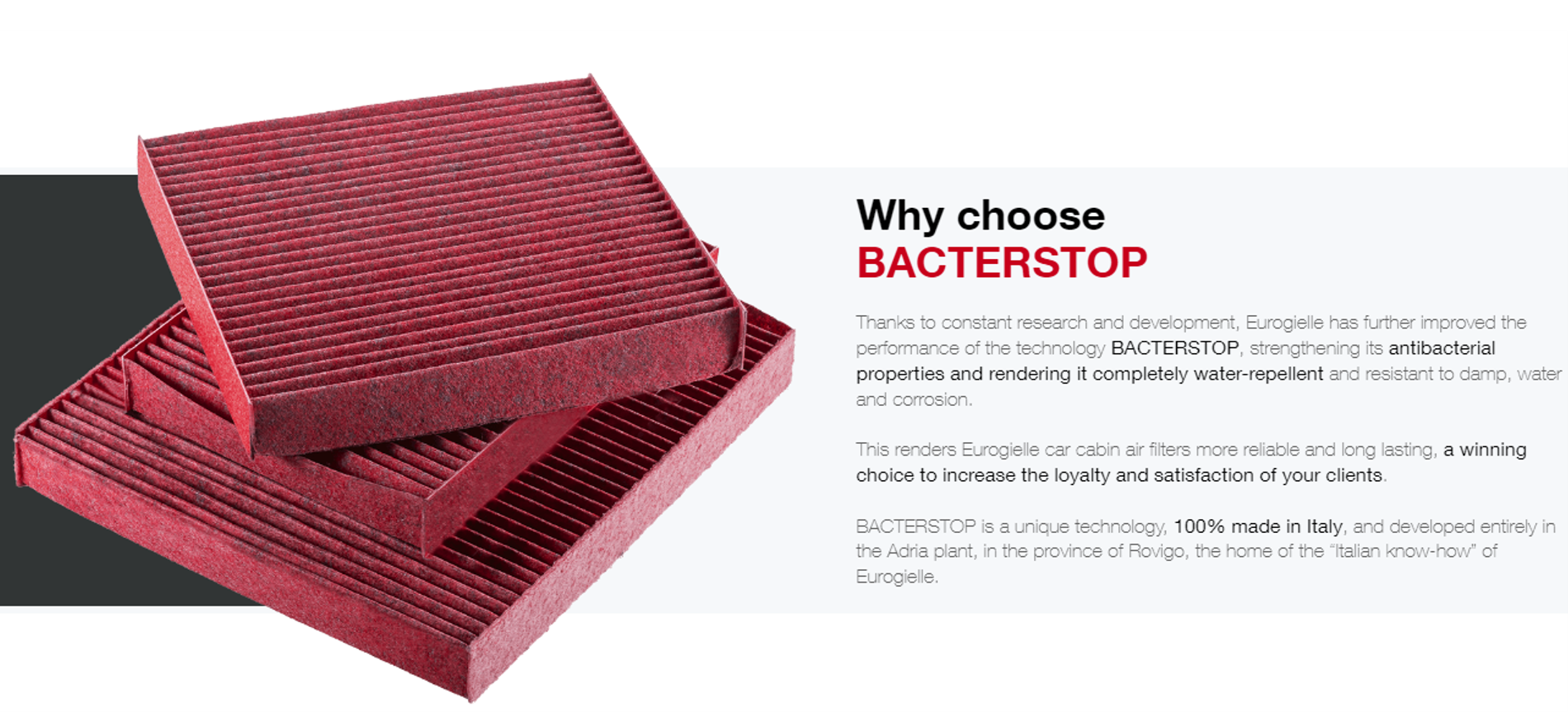 Bacterstop Antibakterieller/Antiviraler-Filter
