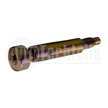 Screw, injection nozzle holder