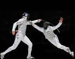 FENCING FABRICS
