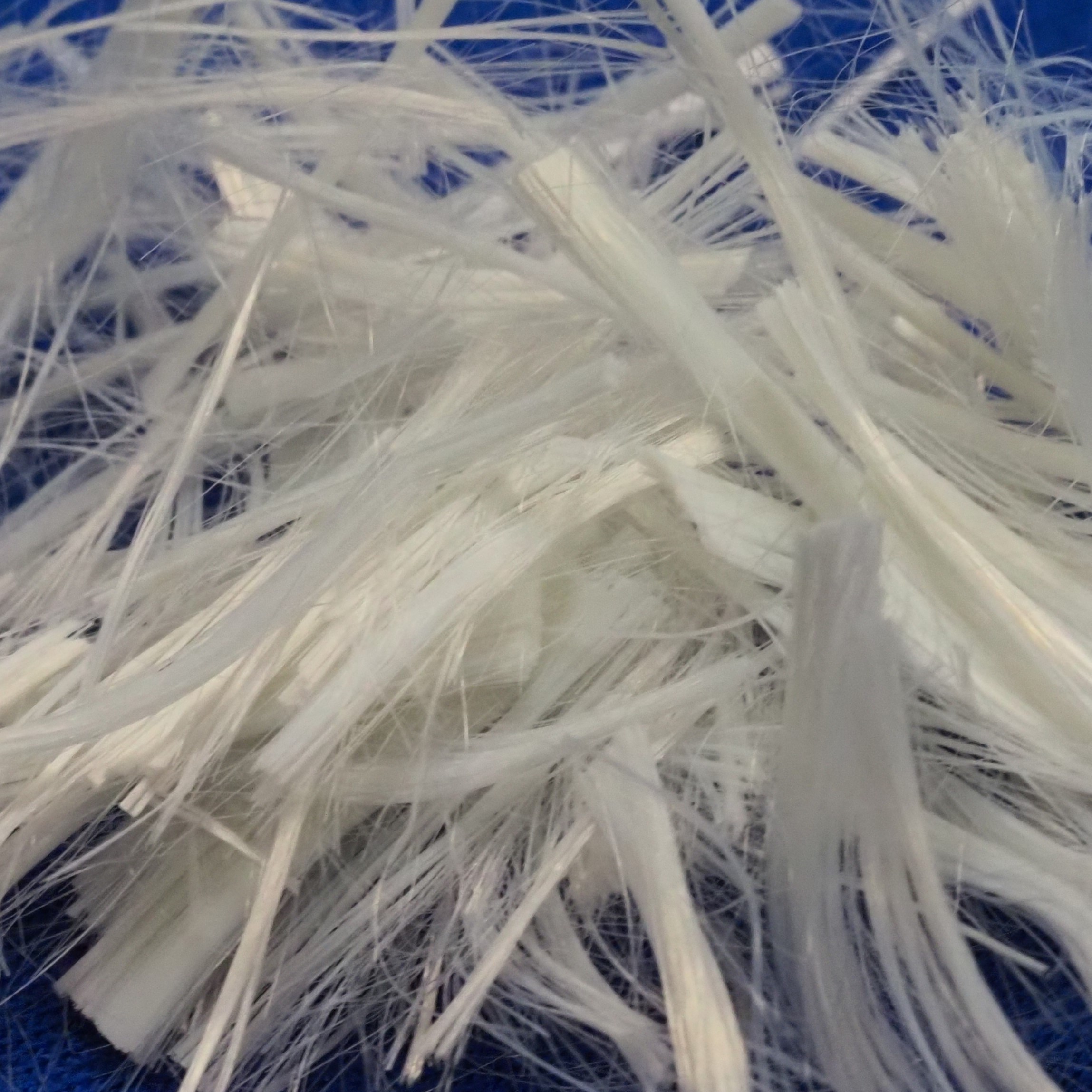 PET Short Cut Fibers