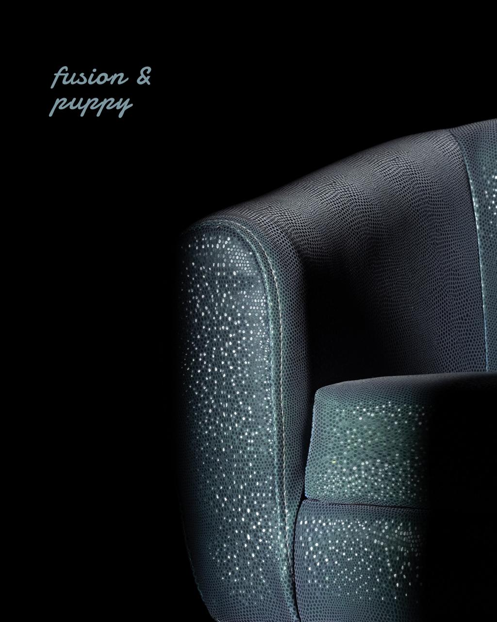 New PULL-UP Designs ( Puppy & Fusion ) With Innovative Formulations for Upholstery