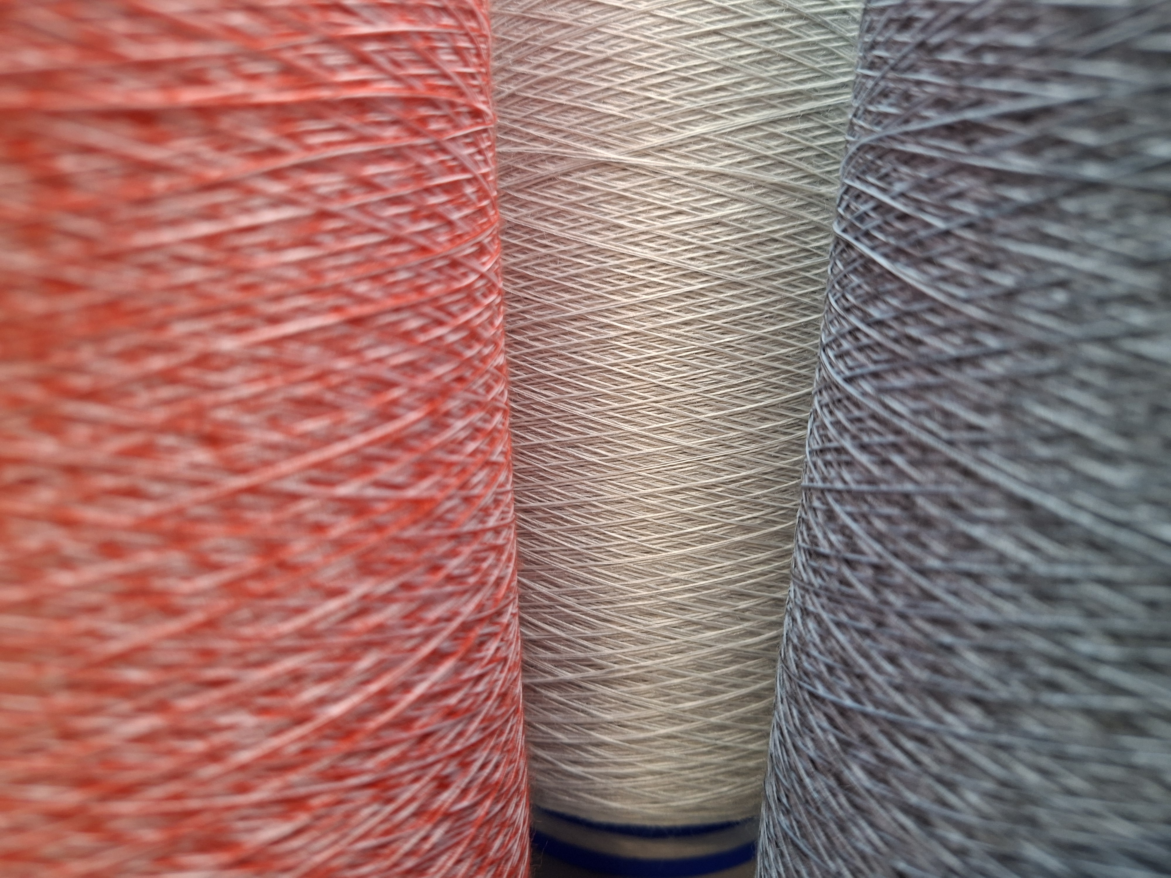 Wool + Polyamide (PA) Blend Yarn