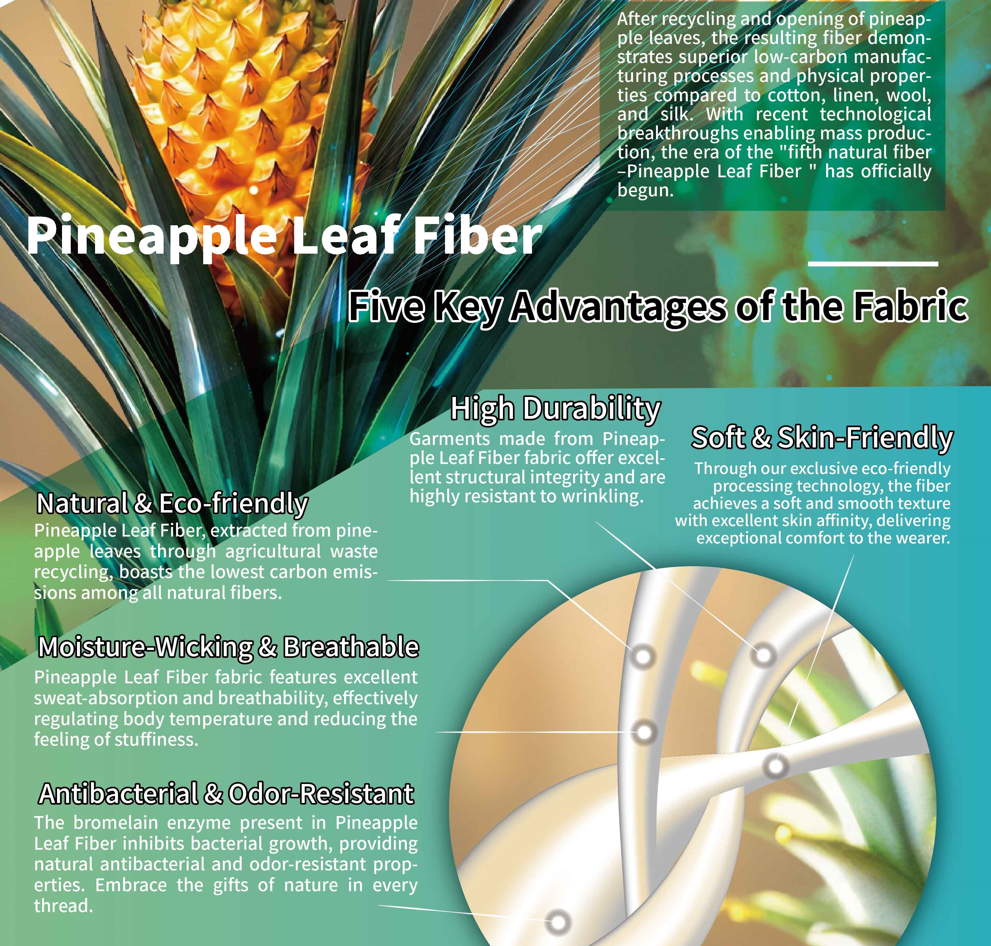 Pineapple Leaf Fiber