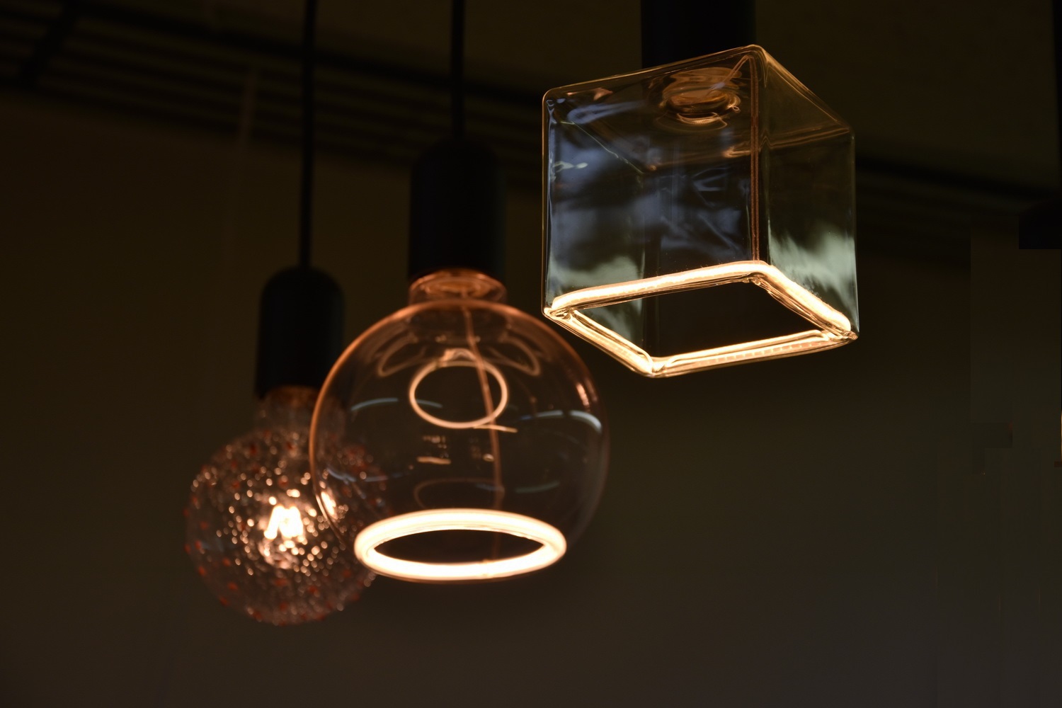 Jellyfish Bulbs