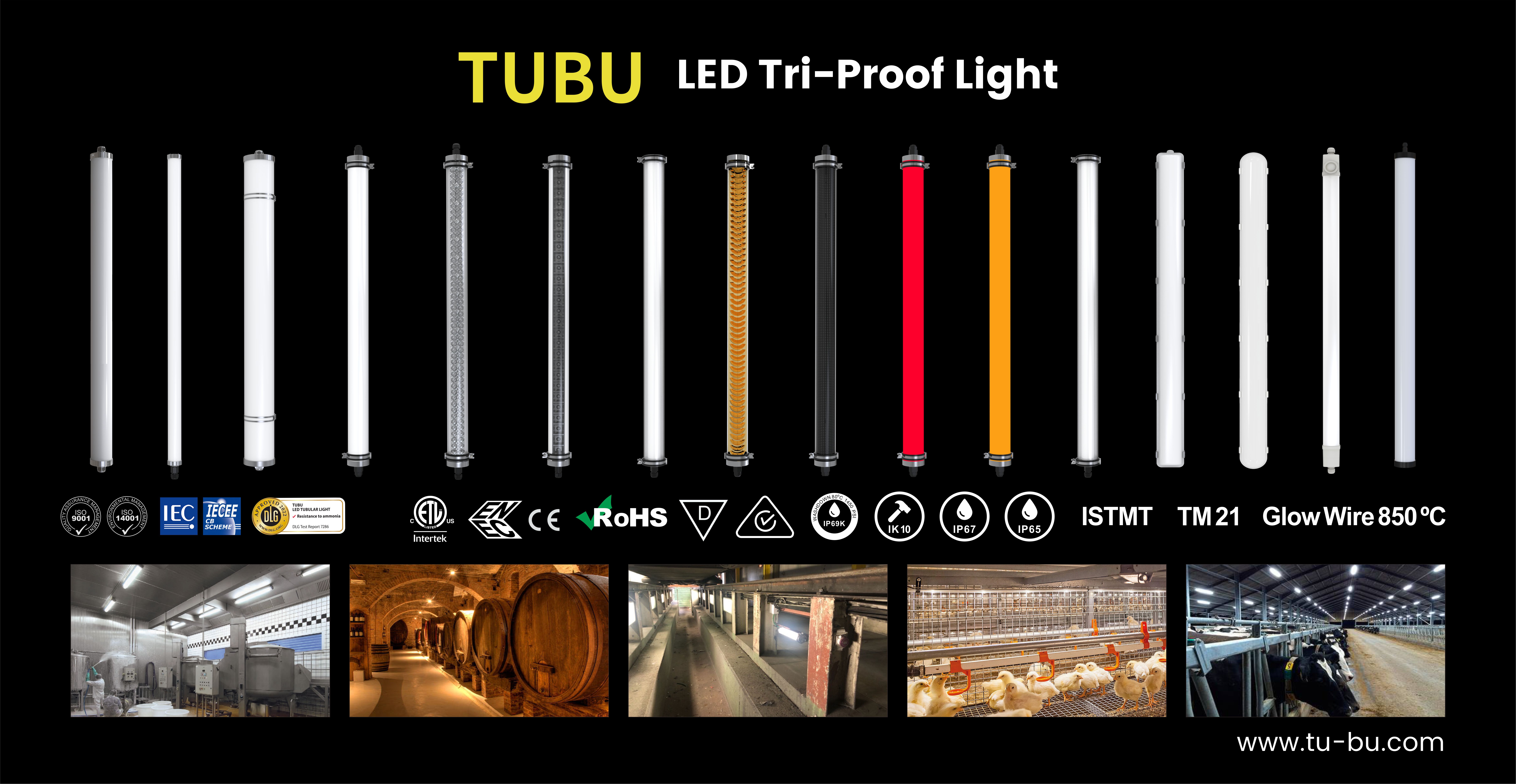 LED Tri-proof Light