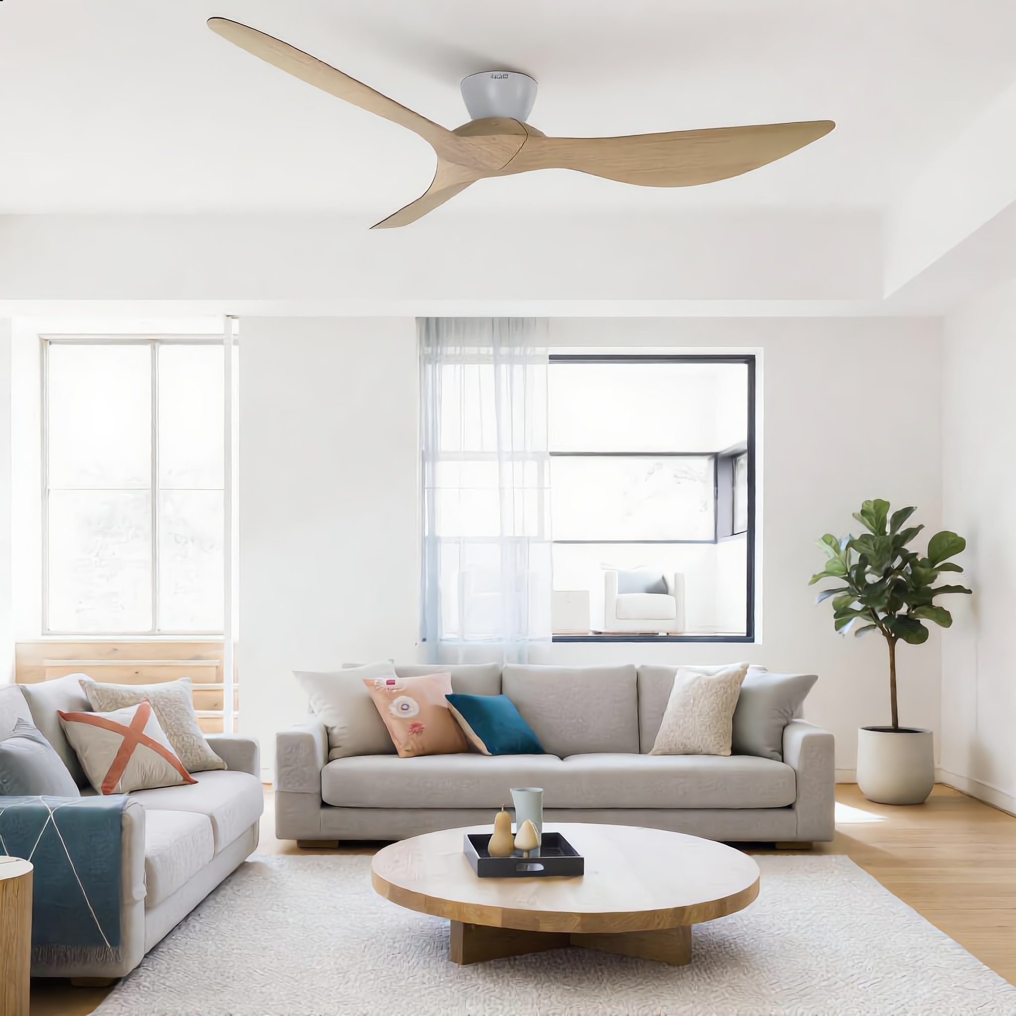 Lucci air ceiling fan Kotara