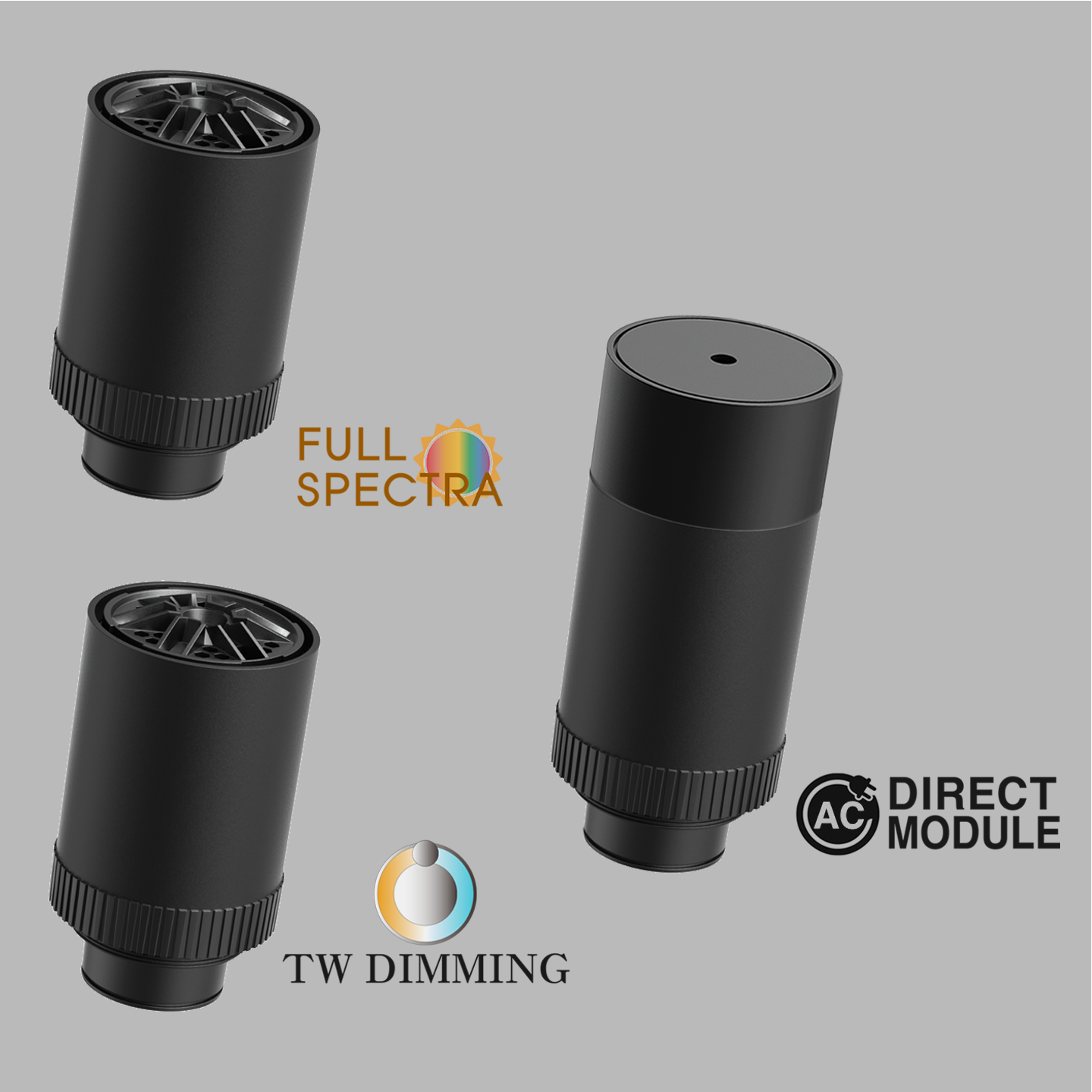 FX Special Module
