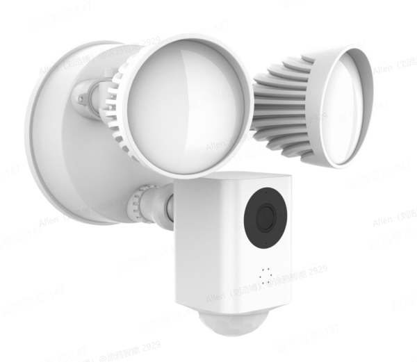 Courtyard Light Camera