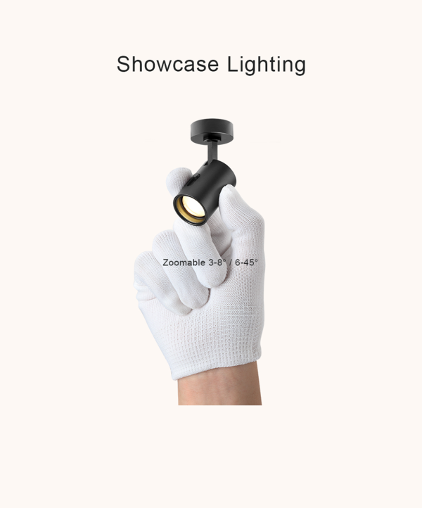Showcase Lighting