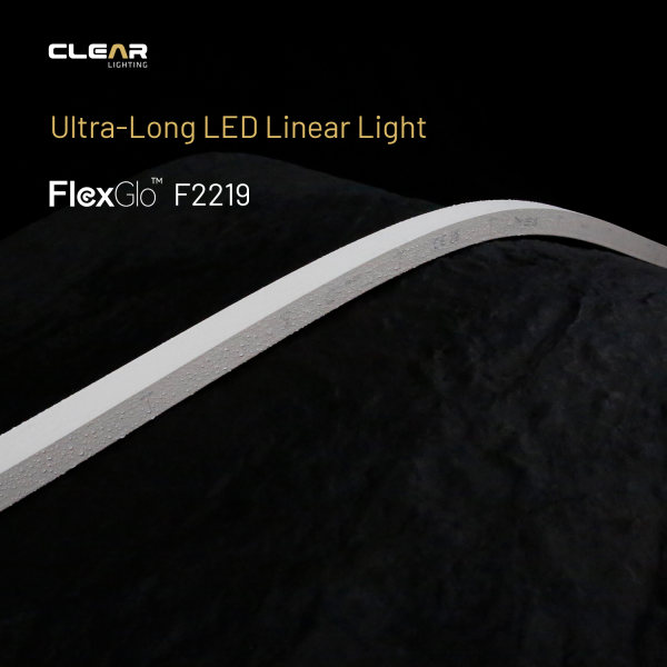 Ultra-Long F2219 LED Neon Flex