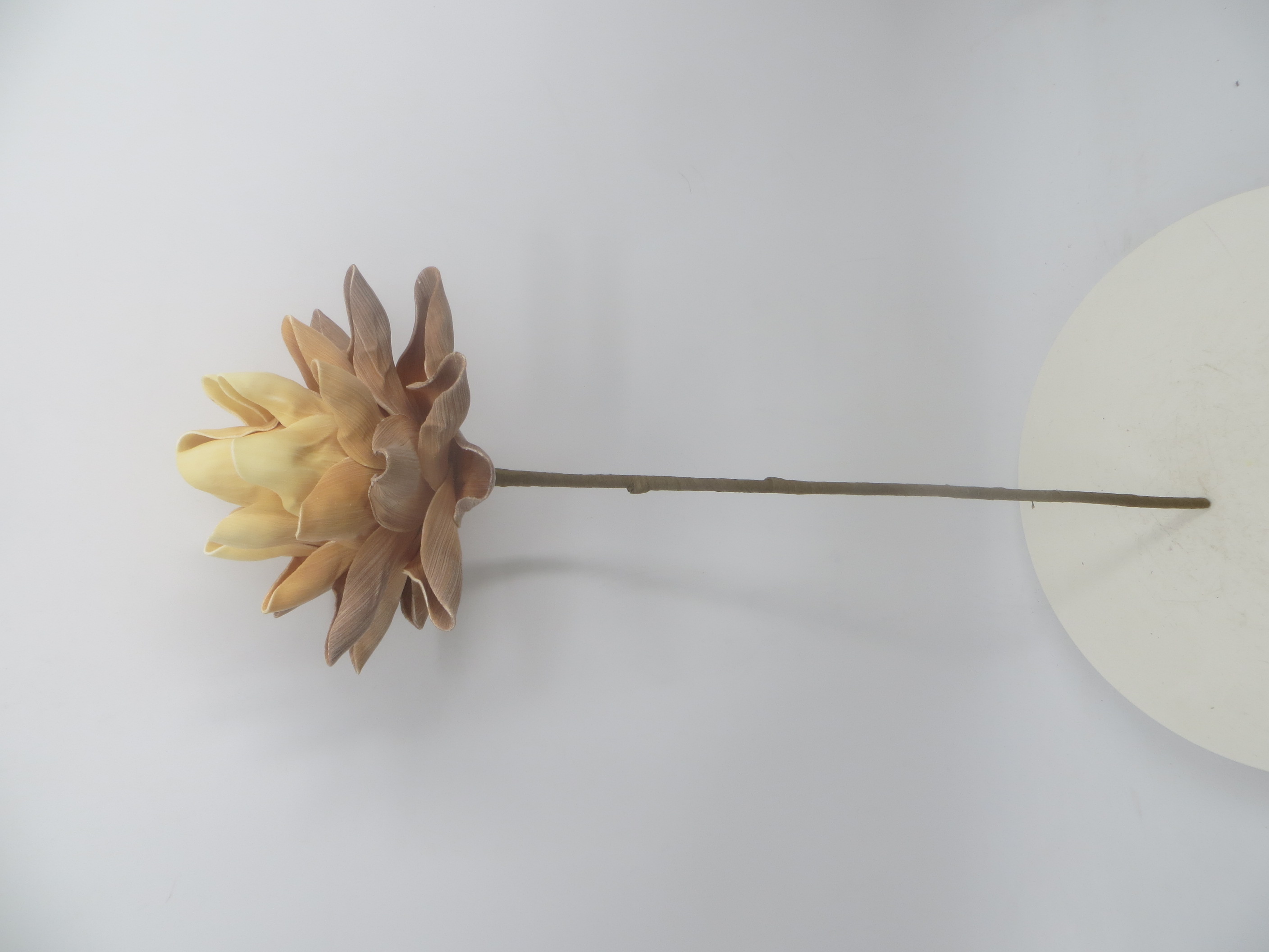 Foam flower