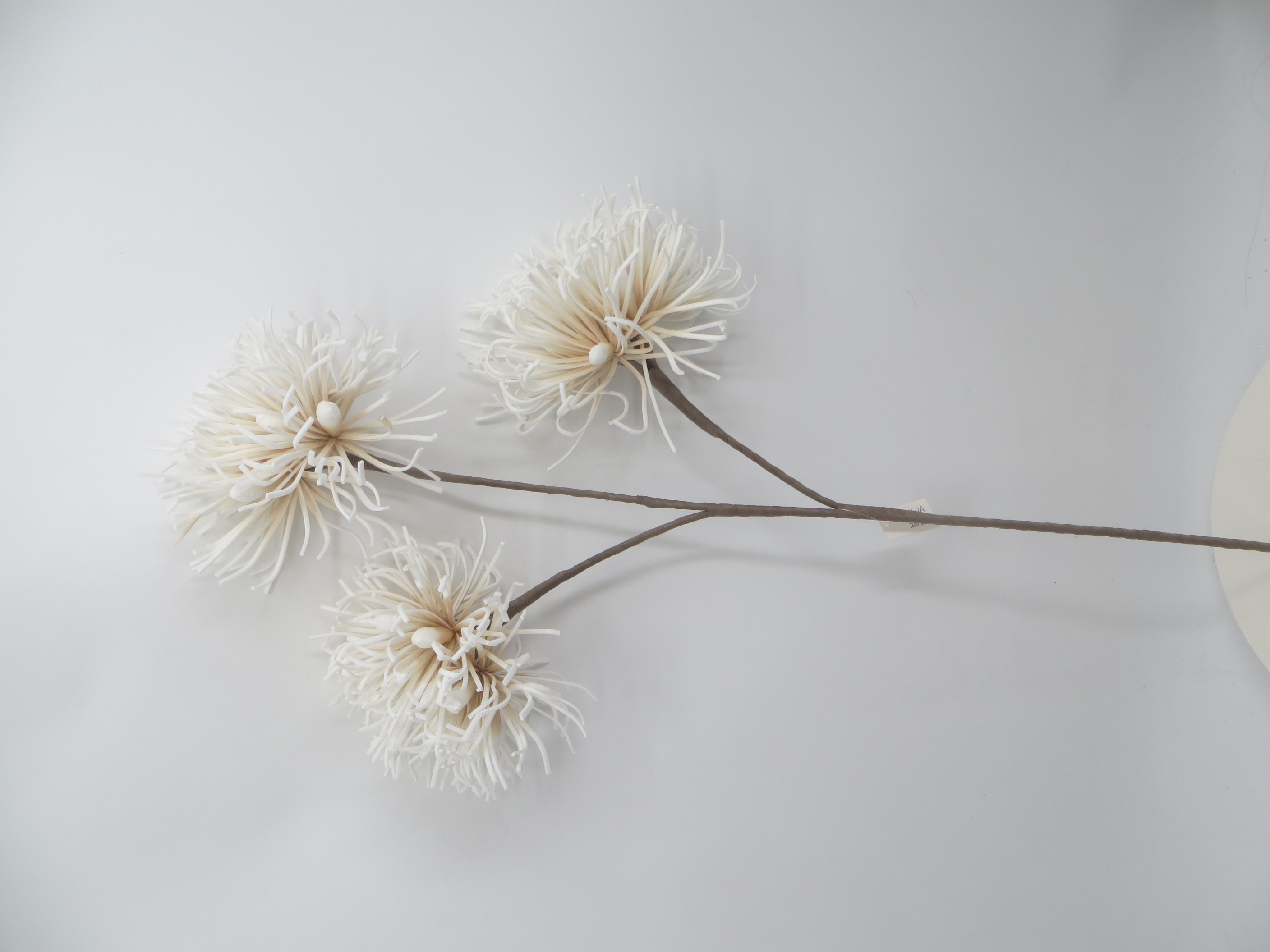 Foam flower