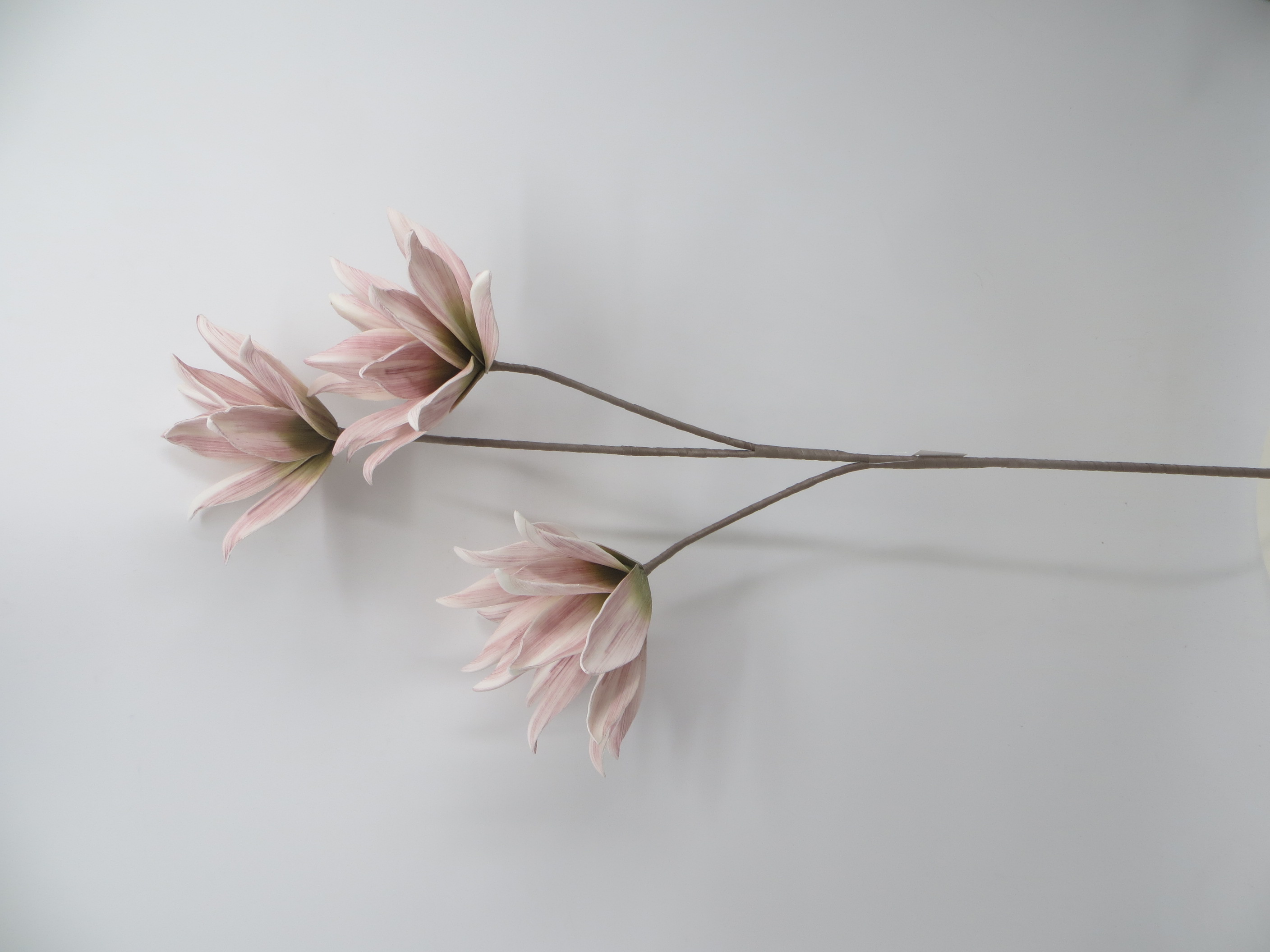 Foam flower