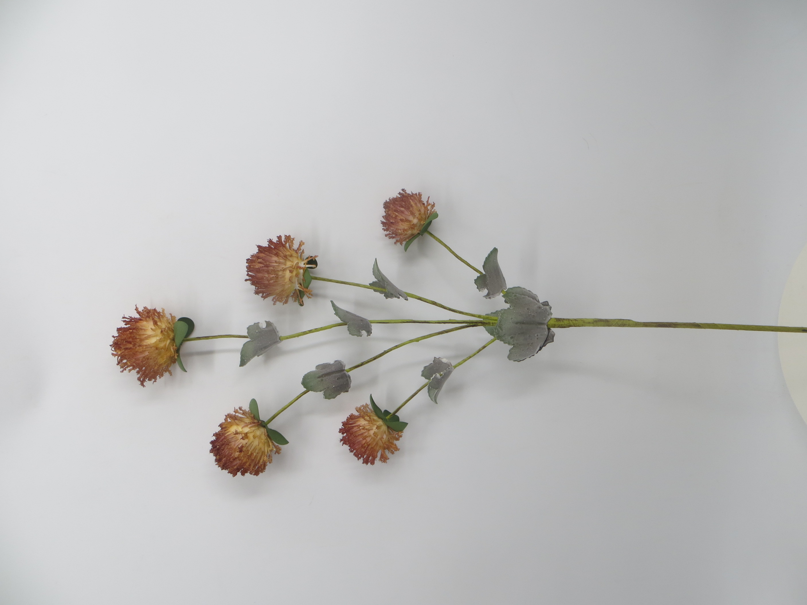 Foam flower