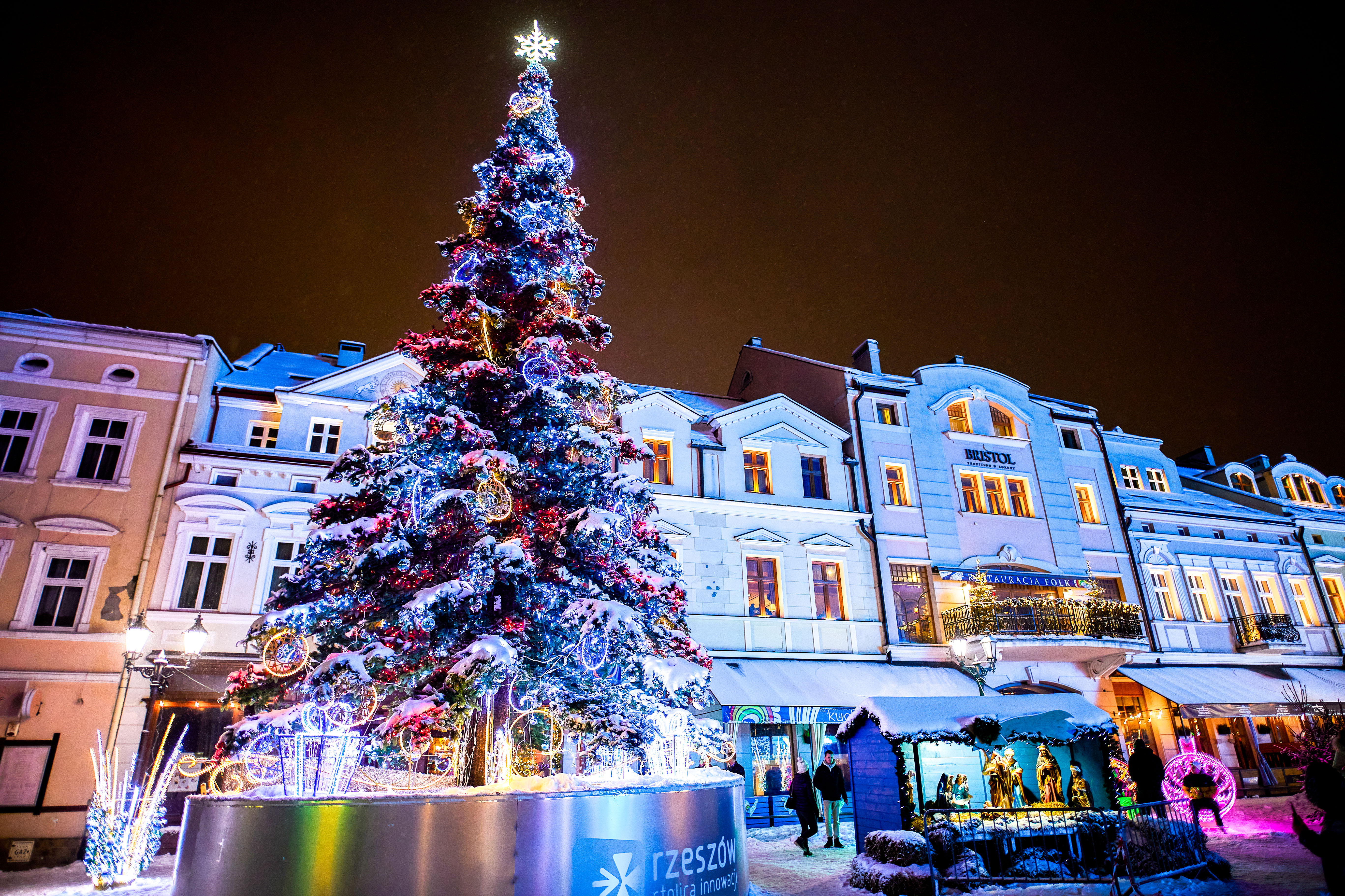 Giant Christmas trees up 28m