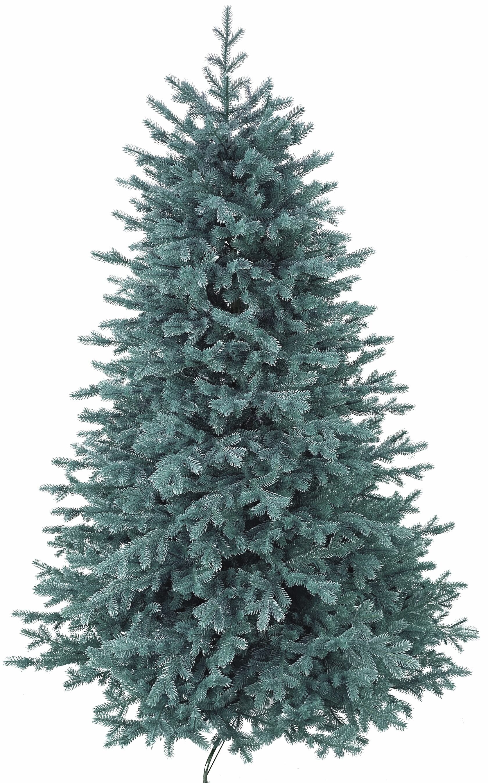 Christmas tree ''Blue Oscar''