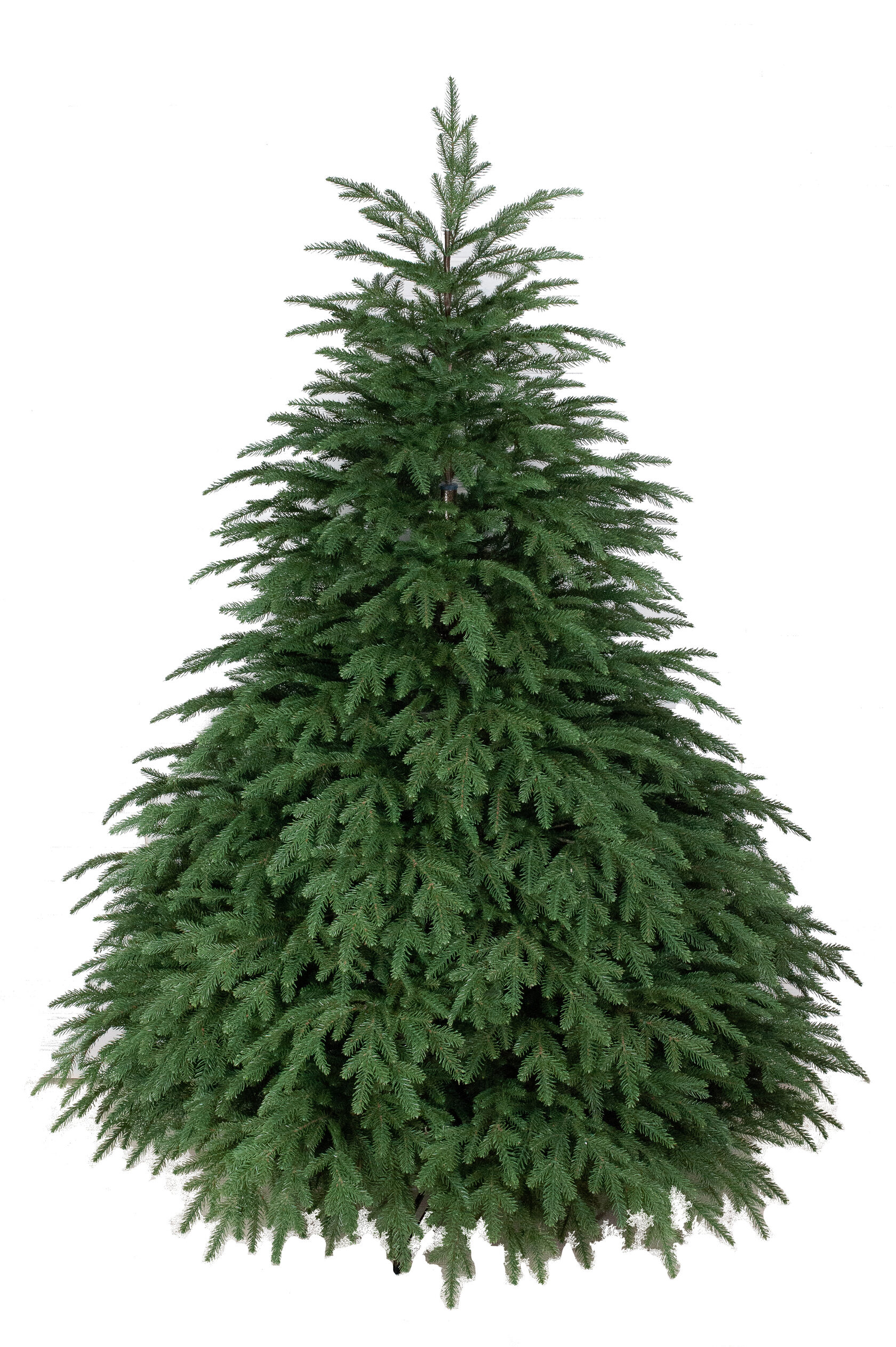 Christmas tree Nika
