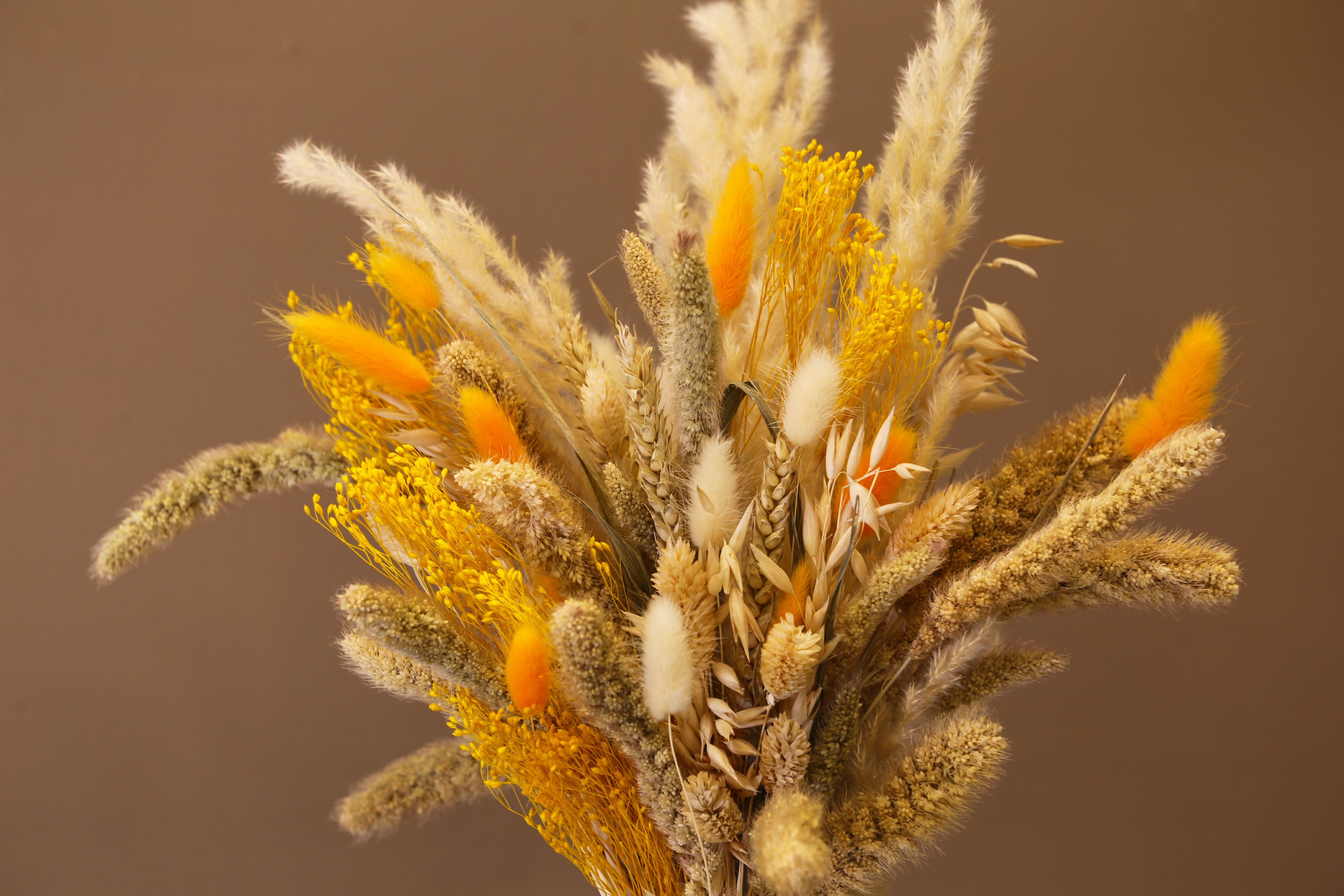Dried and Preserved Flowers