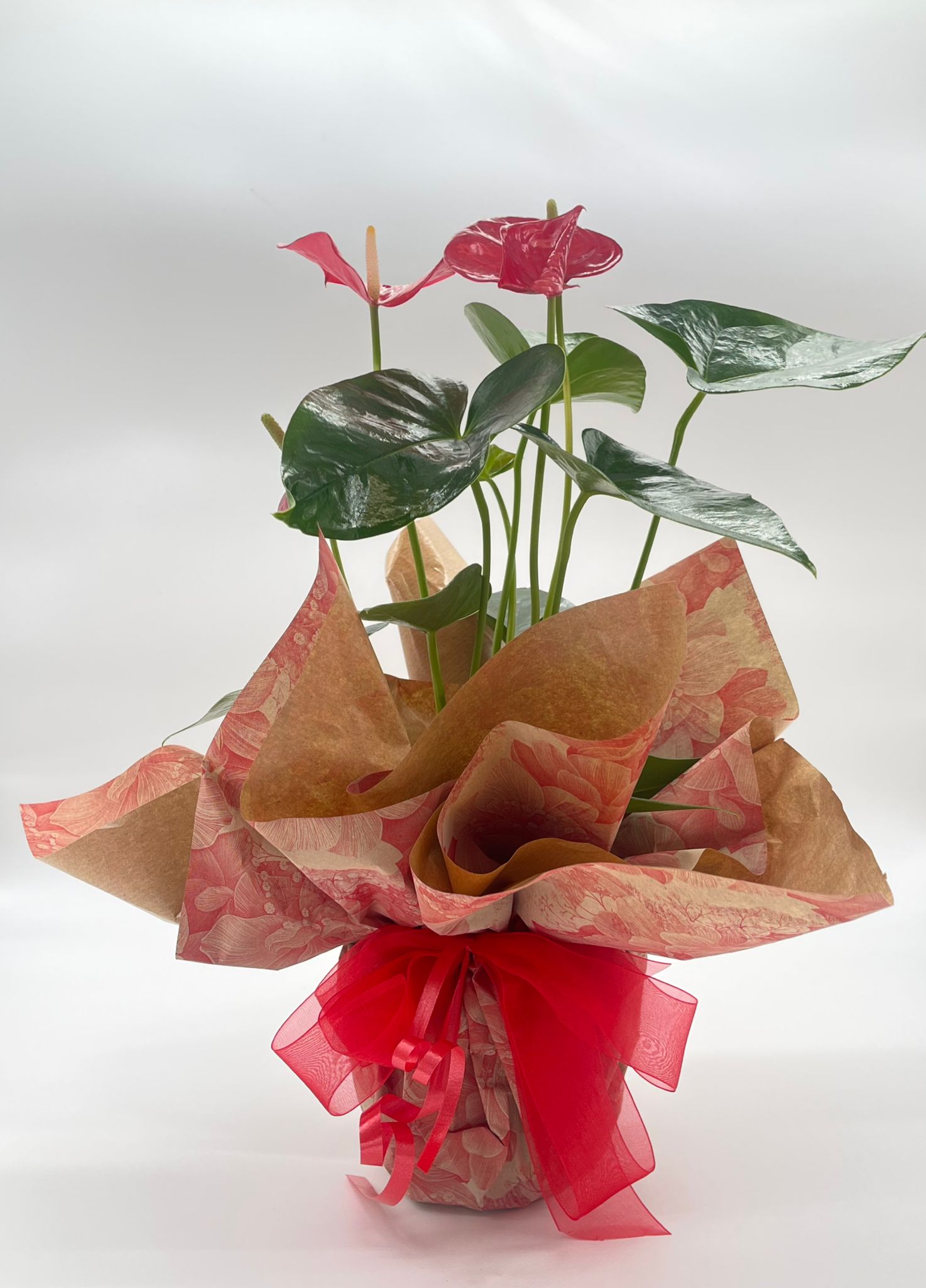 Pot Covers 