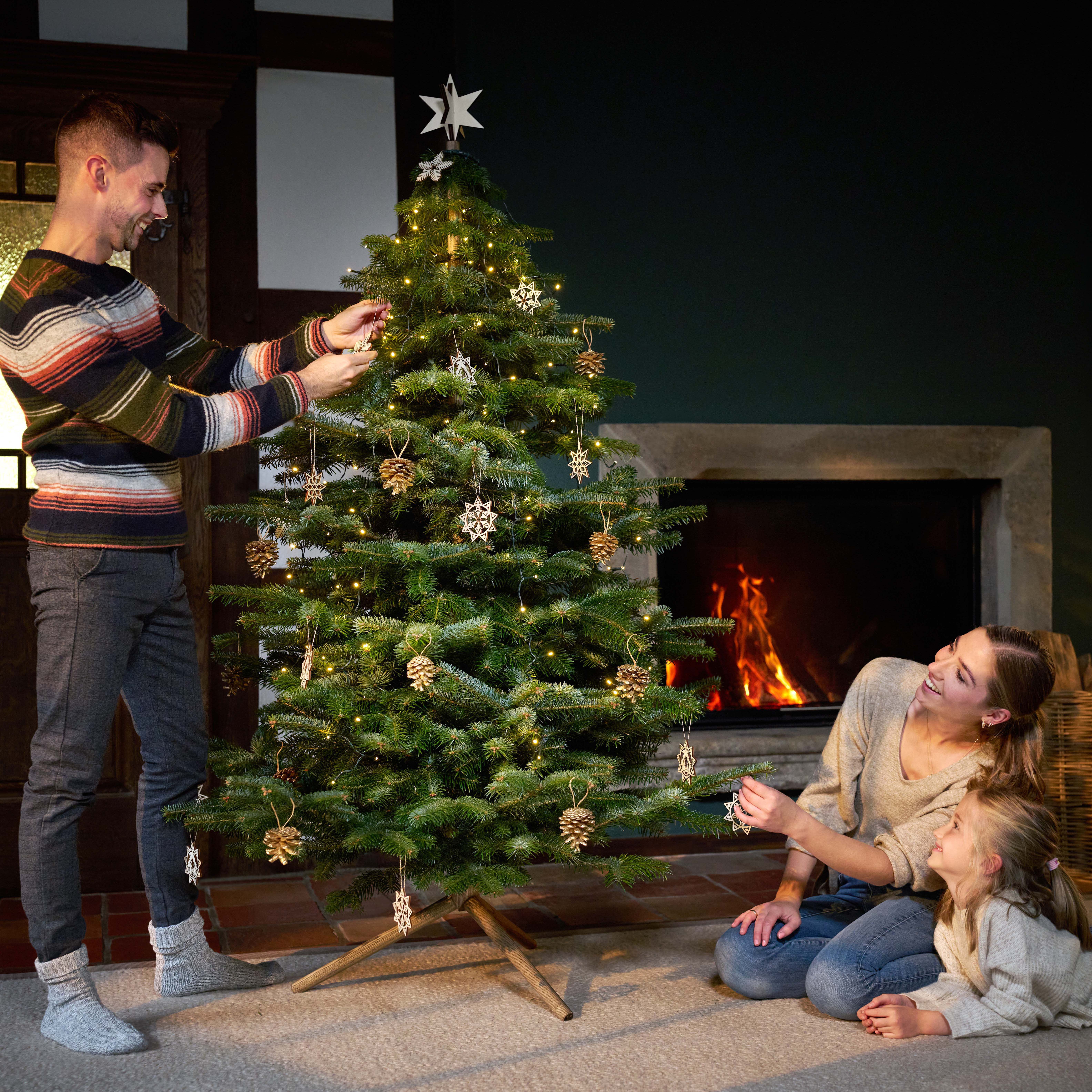 Keinachtsbaum Max