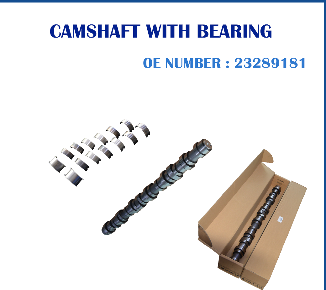 CAMSHAFT WITH BEARING