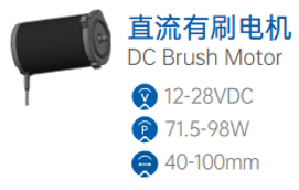 DC Brush Motor