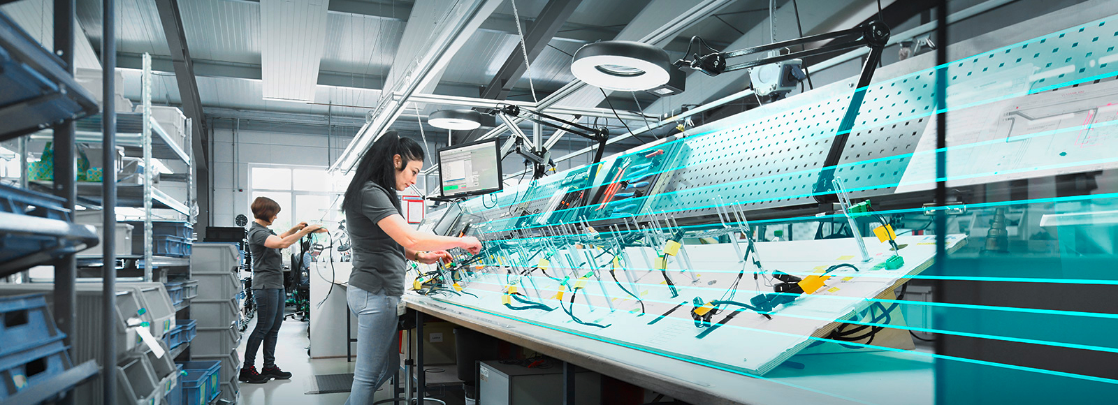 HIKflex - Assemblies & Subassemblies