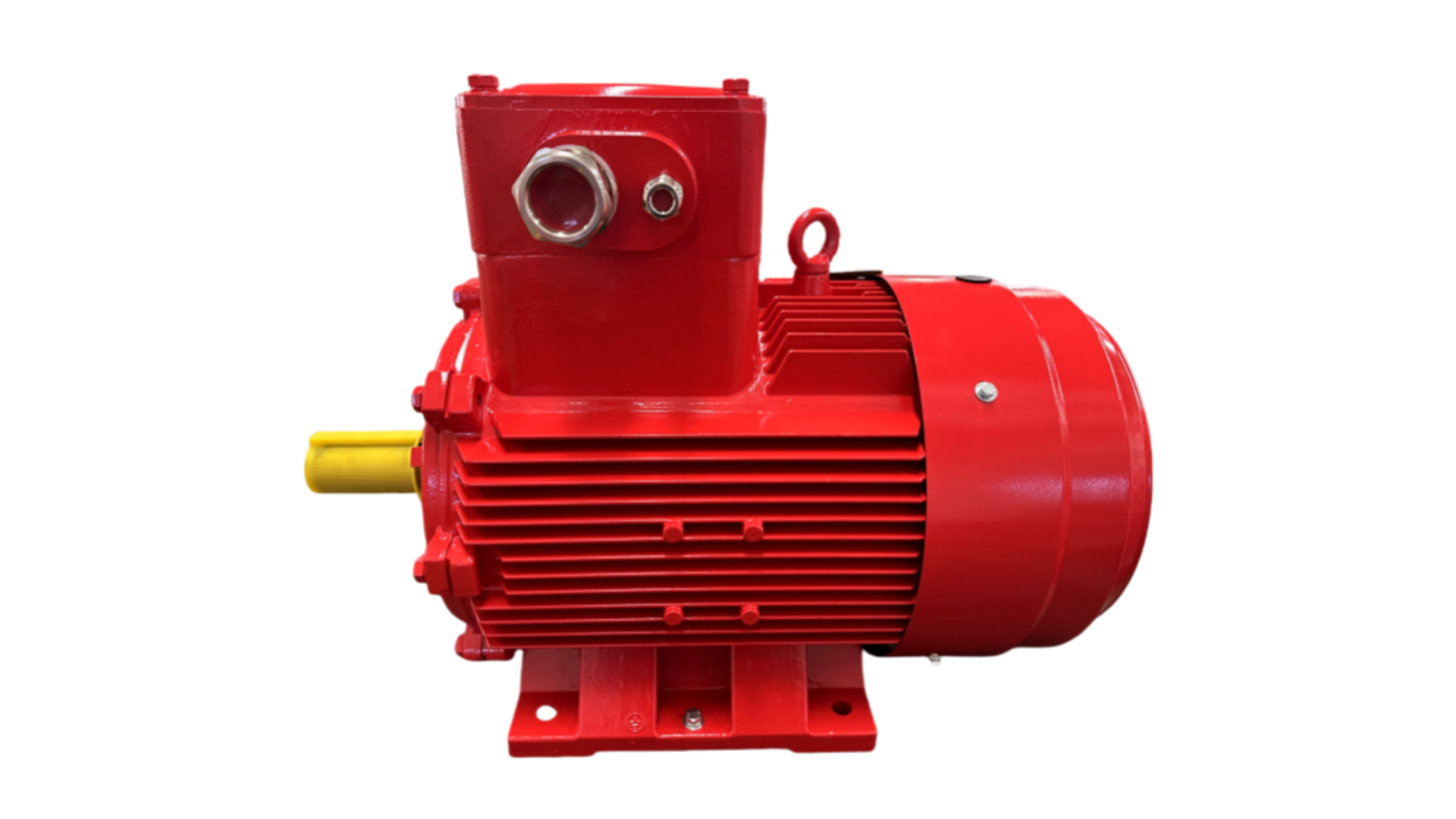 Cast Iron Explosion Proof 3PH Motor