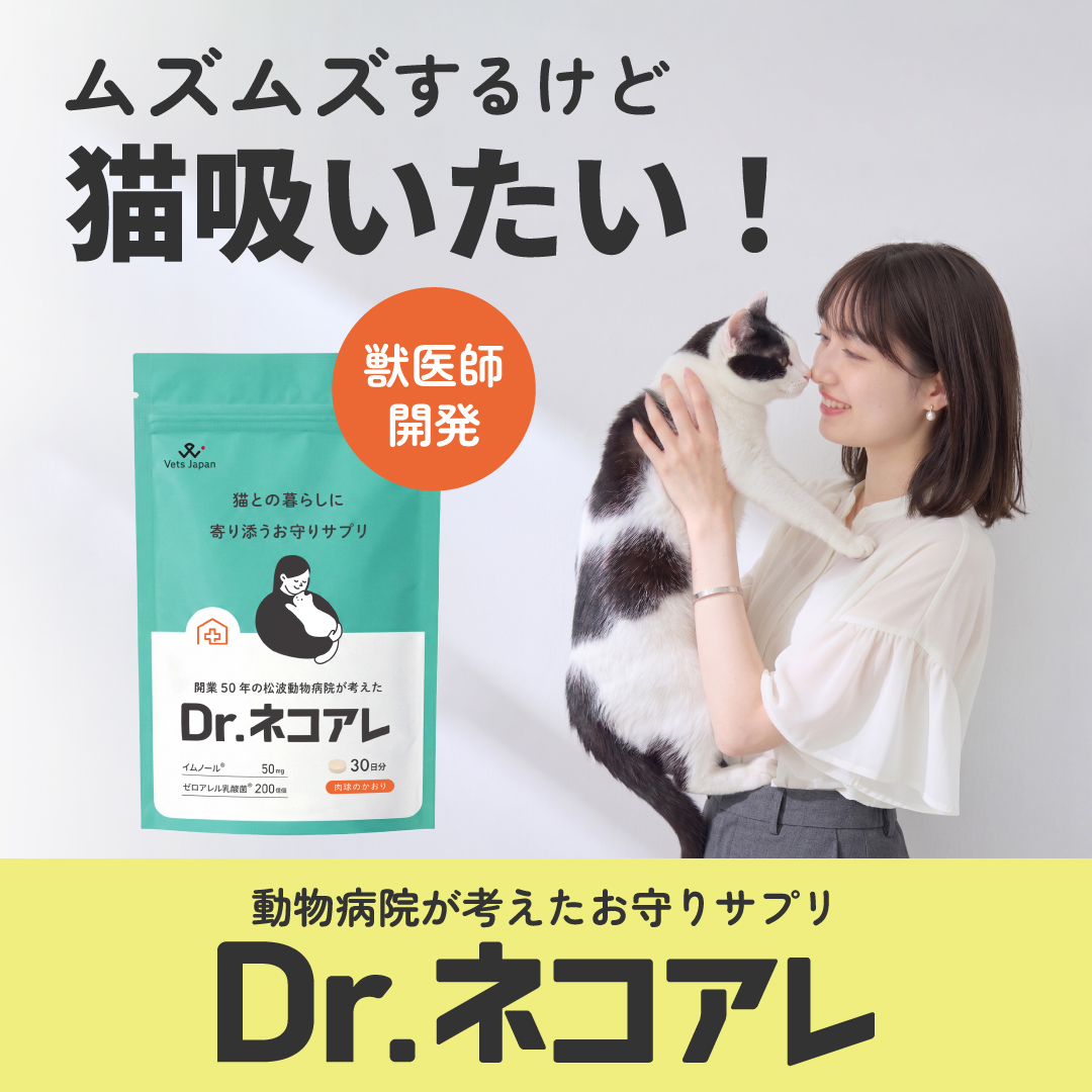 株）ベッツジャパン | 出展者 Interpets Osaka 2026