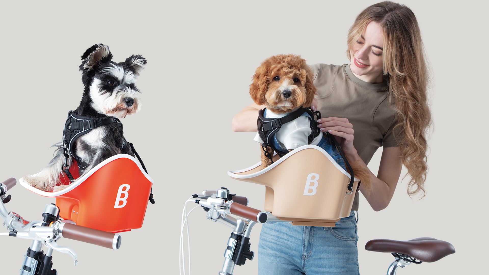 Brook & Breeze LLC | 出展者 Interpets Osaka 2026 | Earth ペット自転車