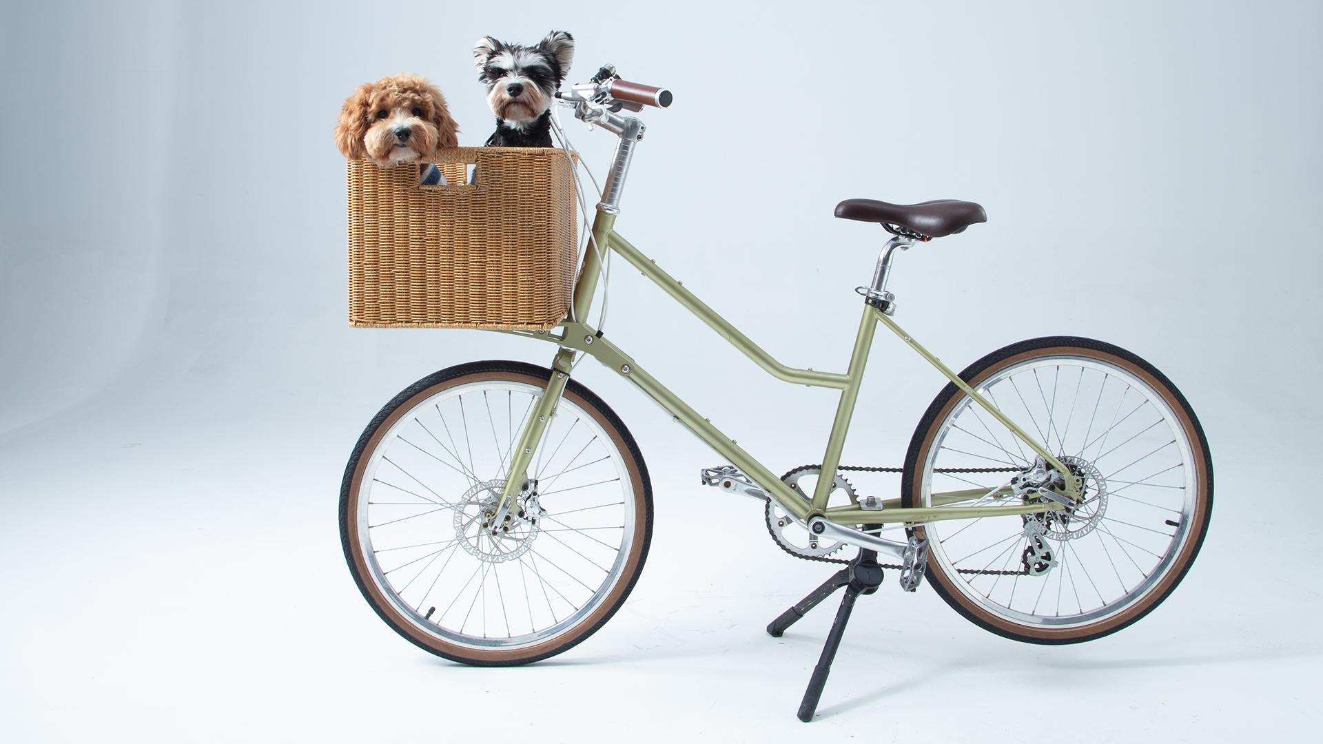 Brook & Breeze LLC | 出展者 Interpets Osaka 2026 | Canine Copilot